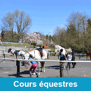 Cours Equestres